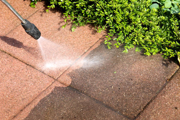 Best Parking Lot Cleaning in Haleiwa, HI